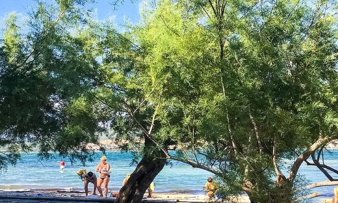 Donji Karin Apartment | Apartment Niko - 40m from the beach: A3(4+2) - Donji Karin, Zadar riviera, Croatia