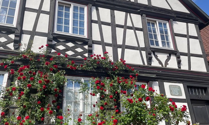 Gengenbach Apartment | Apartment 'Scheffelhaus' with Wi-Fi