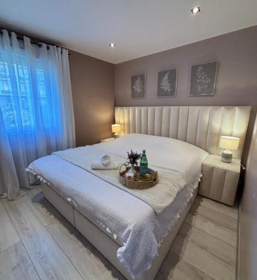 Lingolsheim Apartment | Apartment Strasbourg 7 Guests, 10 min City Center