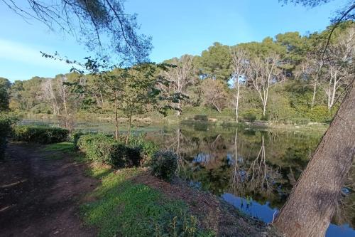Six-Fours-les-Plages Apartment | Apartment with balcony near beach