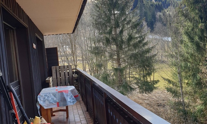 Abondance Apartment | Apartments for up to 4 people