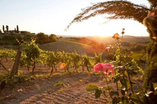 Certaldo Apartment | Appartamento Aster - Azienda Agricola Sotto il Masso