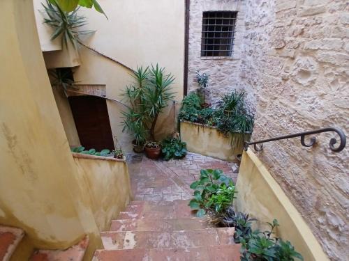 Foligno Apartment | Appartamento Foligno Centro