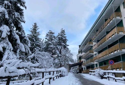 Pescasseroli Apartment | Appartamento in Residence - Parco Nazionale d'Abruzzo