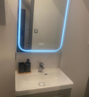 La Chapelle-Saint-Mesmin Apartment | Appartement climatisé avec jaccuzi