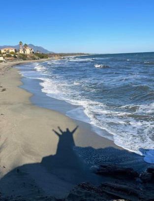 Bravone Apartment | Appartement 2 pièces bord de mer