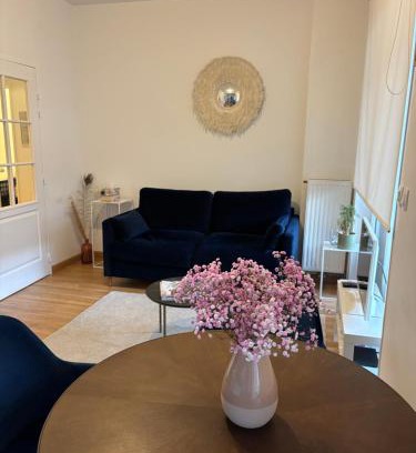 Bourg-l'Eveque Apartment | APPARTEMENT CENTRE VILLE AVEC TERRASSE ET PARKING SECURISE