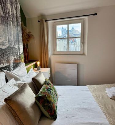 Saumur Apartment | Appartement centre ville climatisé vue Château