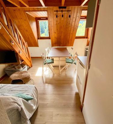 Boutx Apartment | Appartement Chalet à 1400m - Station du Mourtis