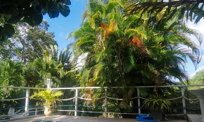 Lepinay Apartment | Appartement charmant à Rivière-Pilote avec piscine partagéeB