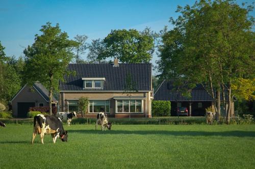 Hornsterzwaag Bed & Breakfast | Appartement Hoornsterzwaag, landelijk gelegen
