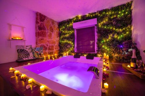 Troyes Apartment | Appartement L'Évasion Nature