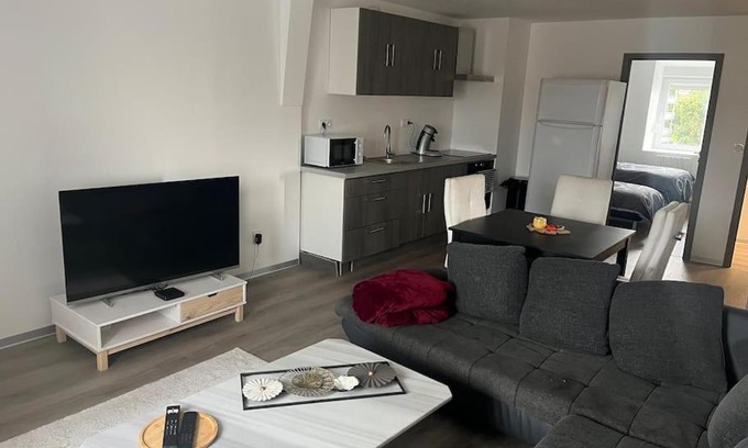 Audincourt Apartment | Appartement Moderne 68 m2 2 ch proche centre ville