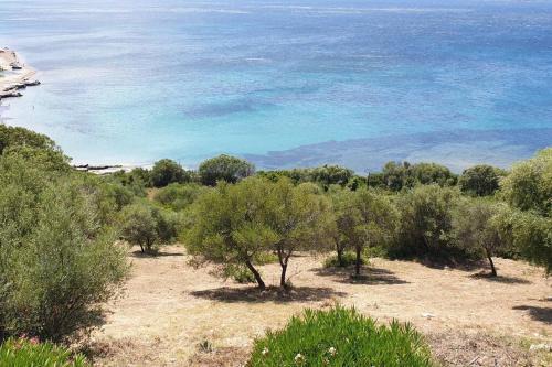 Patrimonio Apartment | Appartement sur la Baie de saint Florent