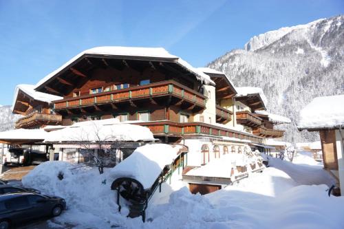 Waidring Apartment | Appartement Winkler