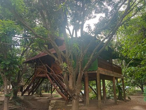 Palomino Apartment | apto cabaña