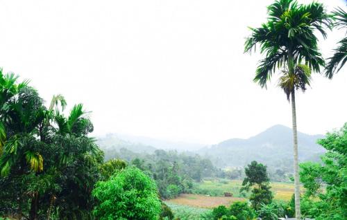 Ella House | Arches View Home Stay
