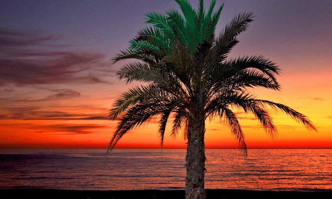 Almunecar Hotel | Arrayanes Playa Hotel