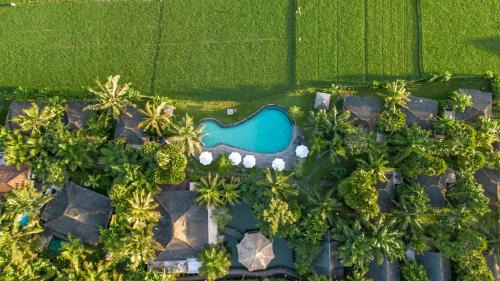 Singakerta Villa | Arya Villas Ubud