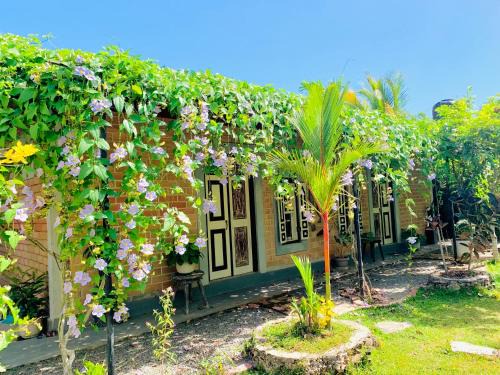 Mirissa Hotel | Ashok villa