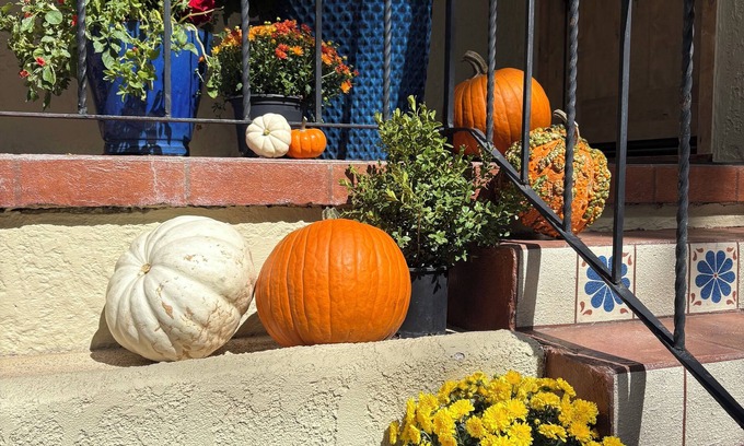 Central Colorado Springs House | Aspen leaves and porch pumpkins! Welcome to your mini-fall-escape vacation!