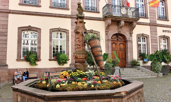 Ribeauville House | At the swallows' nest