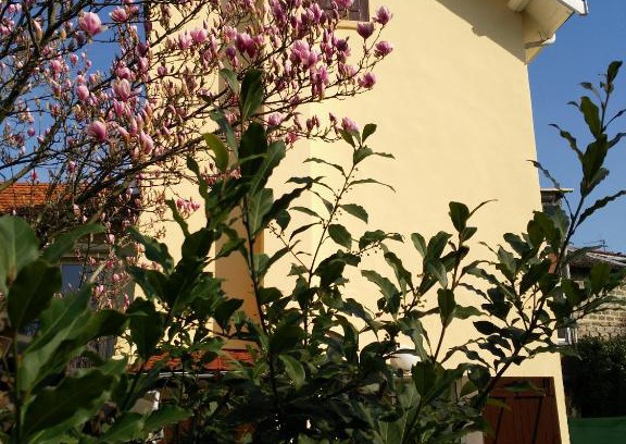 Bourgoin-Jallieu House | Atelier Liberation
