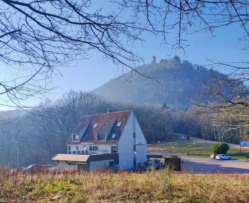 Orschwiller Apartment | Au pied du Château