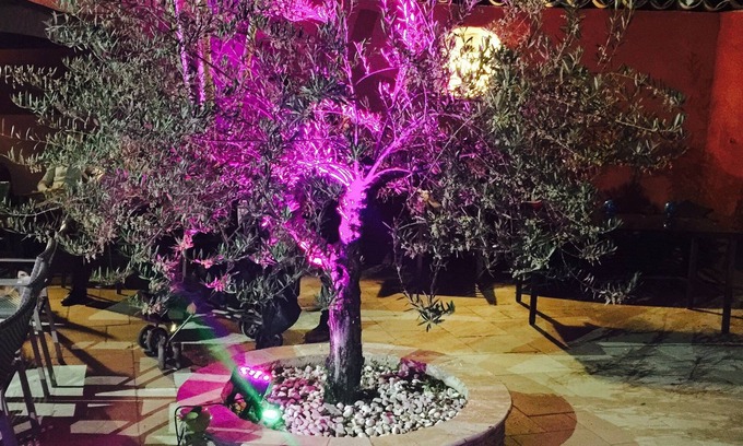 Peyruis Hotel | Auberge Les Galets Hotel Restaurant