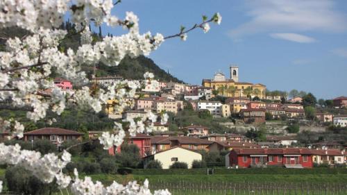 Cavaion Veronese Bed & Breakfast | Aurora