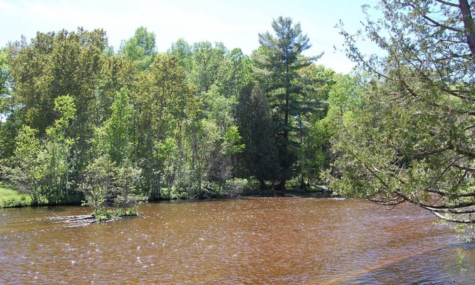 Grayling Cottage | Ausable River - Beautiful Views - Bear Den