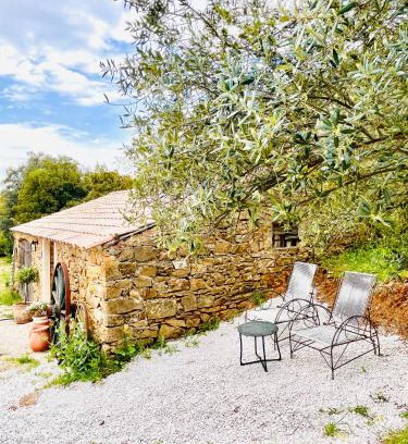 Le Beausset Bed & Breakfast | Authentique bergerie en pierre avec jacuzzi privé piscine et massages La grange des amoureux