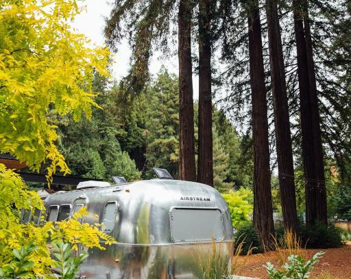 Guerneville Hotel | AutoCamp Sonoma