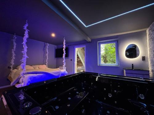 Chatenois Apartment | Aux 67 nuances - Spa