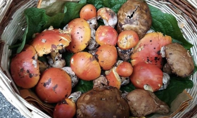 Castiglione Messer Marino House | Azienda turistica faunistico venatoria