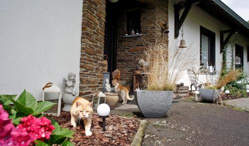 Jalhay Bed & Breakfast | B&B Au Coq en Pate