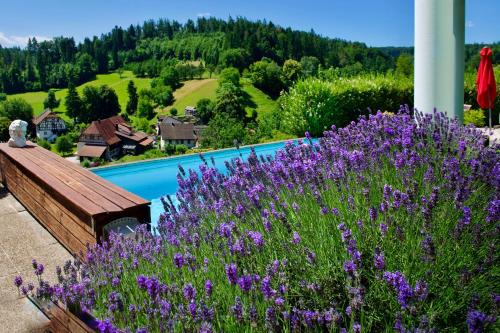 Hettenschwil Bed & Breakfast | B&B Casa Solaris