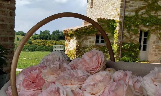 Nerbisci Bed & Breakfast | B&B Cascina Artemisia