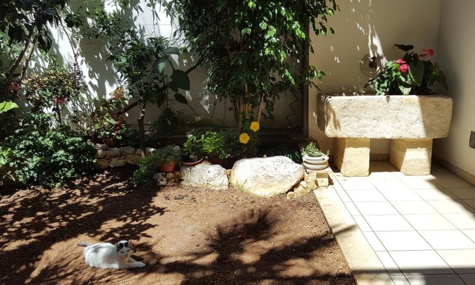 Brindisi Histotic Center Bed & Breakfast | B&B Federico II