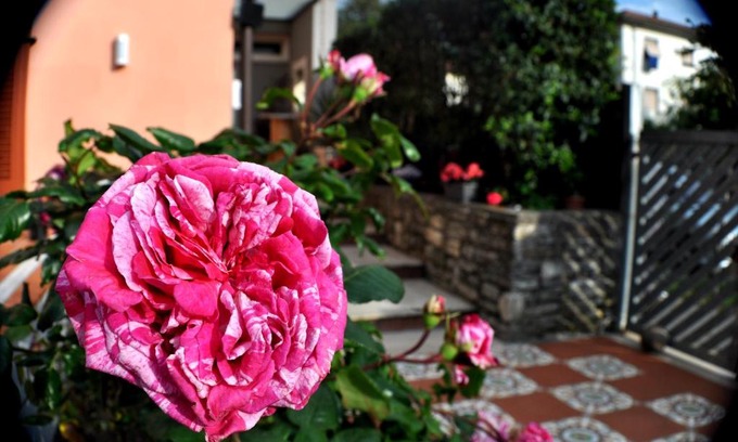 Carrara Bed & Breakfast | B&B Il Vinile