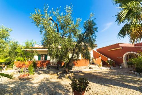 Mandrione Bed & Breakfast | B&B Uliveto del Gargano