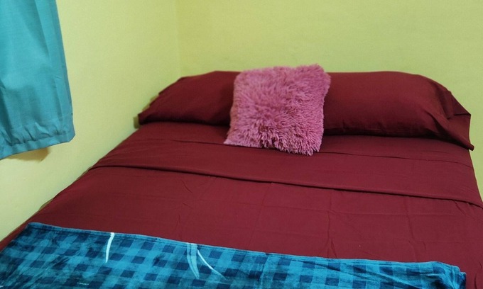 Wotten Waven House | "Back 2 Eden" Home with FREE Wifi, Mountain views & close to 3 Mineral Hot Spas