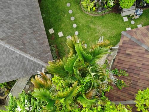 Bukit House | Bale Asri Bukit Jimbaran