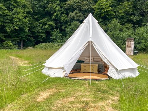 Ashford House | Barn Owl - Uk49932