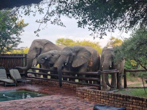 Bela-Bela House | Bateleur Lodge, Mabalingwe