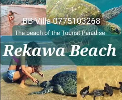 Tangalle Villa | BB villa - Rekawa