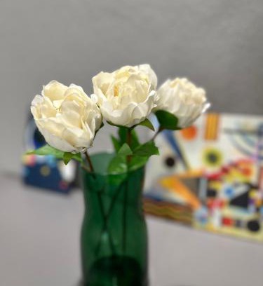 Pisa Bed & Breakfast | Bcube - santa Bona Bed & Breakfast