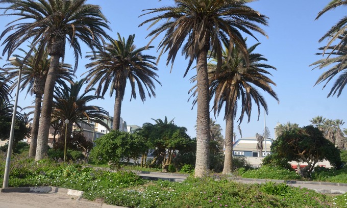 Vineta Apartment | Be Still Accommodation Unit 8