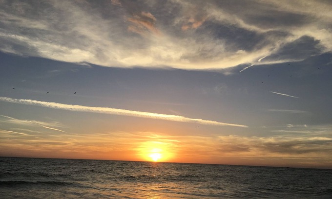 Whitney Beach Condo | Beach Front Condo on Gulf of Mexico