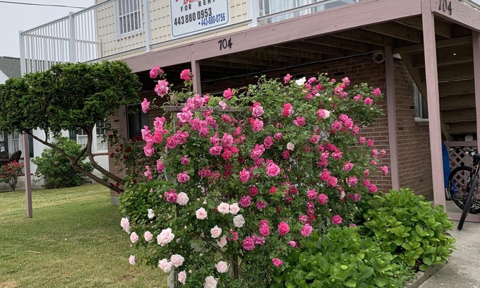 Ocean City Apartment | Beach Happy at Elis Apartments Unit 3